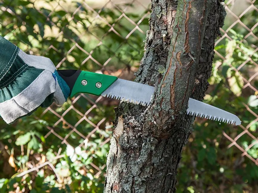 Arborist cutting a branch with a pole saw