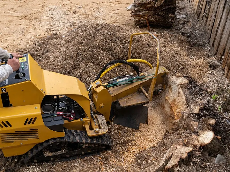 Stump grinder working on a stump