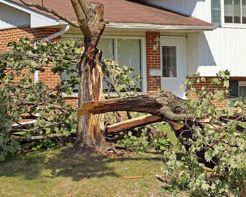 Home-Emergency-Service Home-Emergency-Service